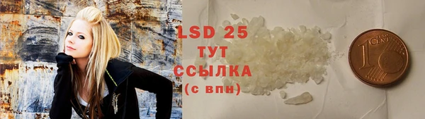 молекула духа Няндома