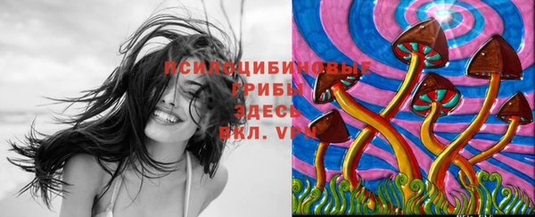 а пвп мука Баксан