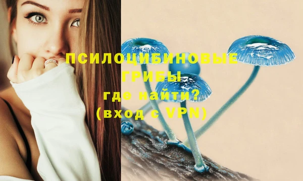 а пвп мука Баксан