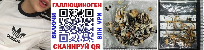 Псилоцибиновые грибы прущие грибы  цена   Ленинск-Кузнецкий 